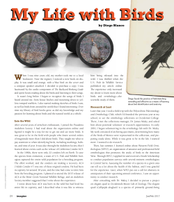 My Life with Birds
