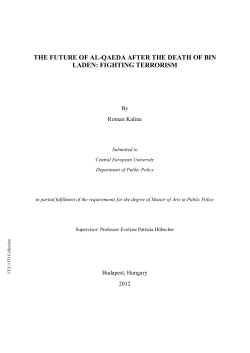 the future of al-qaeda after the death of bin laden: fighting terrorism