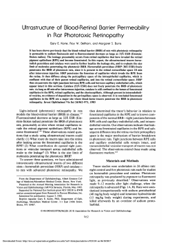 Ultrastructure of blood-retinal barrier permeability in rat
