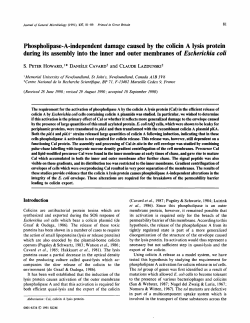 Phospholipase-A-independent damage caused by