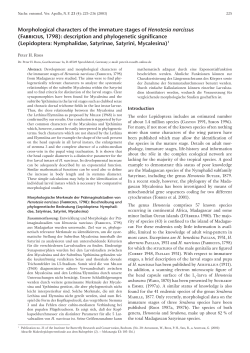 Morphological characters of the immature stages of