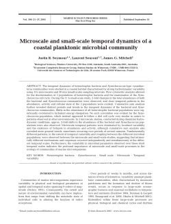 Microscale and small-scale temporal dynamics of a coastal