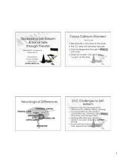 PP - Schneider-March 3