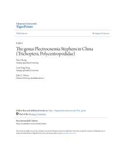 The genus Plectrocnemia Stephens in China