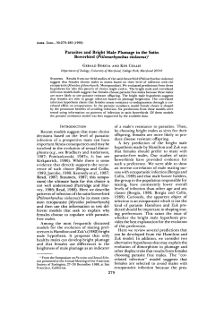 Parasites and Bright Male Plumage in the Satin Bowerbird