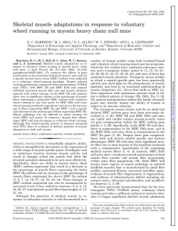 Skeletal muscle adaptations in response to voluntary wheel running