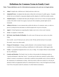 Definitions for Common Terms in Family Court