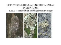 EPIPHYTIC LICHENS AS ENVIRONMENTAL INDICATORS: PART I
