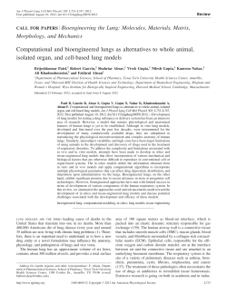 Computational and bioengineered lungs as alternatives to whole