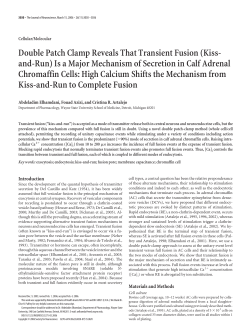 Double Patch Clamp Reveals That Transient Fusion (Kiss- and