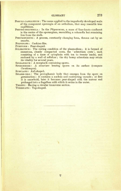 PSEUDO-CAPILLITIUM : The name applied to the imperfectly