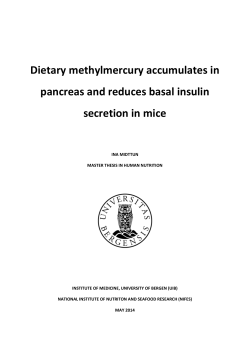 Dietary methylmercury accumulates in pancreas and reduces basal