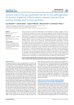 Central role of the gut epithelial barrier in the pathogenesis of