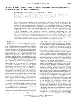 Dynamics of Water Clusters Confined in Proteins: A Molecular