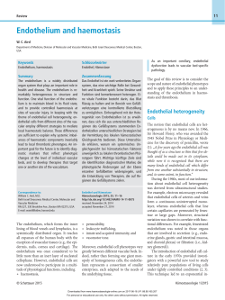 Endothelium and haemostasis
