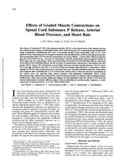 Effects of Graded Muscle Contractions on Blood Pressure, and Heart