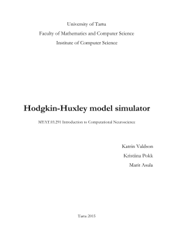 Hodgkin-Huxley model simulator