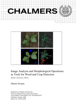 Image Analysis and Morphological Operations as Tools for Weed