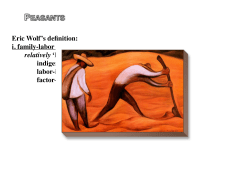 Eric Wolf`s definition: i. family-labor power relatively `low` levels of