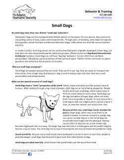 Small Dogs - Marin Humane Society