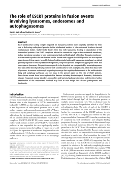 The role of ESCRT proteins in fusion events involving lysosomes