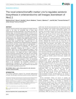 The novel enterochromaffin marker Lmx1a regulates