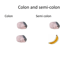 Colon and semi