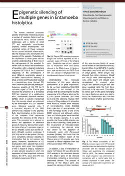 Mirelman David - Weizmann Institute of Science
