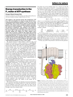 Energy transduction in the F1 motor of ATP synthase