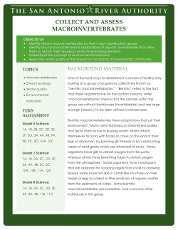 Collect and Assess Macroinvertebrates