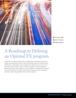 A Roadmap to Defining An Optimal FX Program