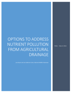 Options to Address Nutrient Pollution from Agricultural Drainage
