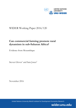 PDF - unu-wider - United Nations University