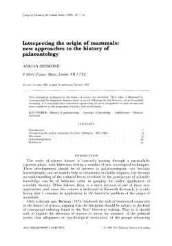 Interpreting the origin of mammals: new