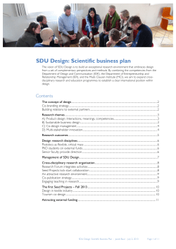 SDU Design business plan 020713 lo