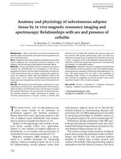 Anatomy and physiology of subcutaneous adipose tissue by in vivo