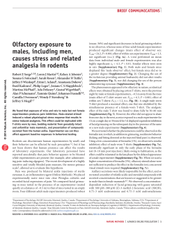 Olfactory exposure to males, including men, causes stress