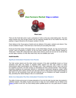 Zion Farmers Market Veg-u-cation