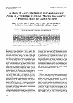A Study of Caloric Restriction and Cardiovascular Aging in