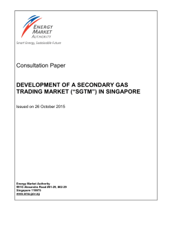 development of a secondary gas trading market