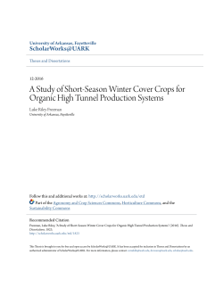 A Study of Short-Season Winter Cover Crops for Organic High
