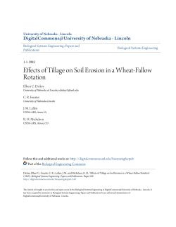 Effects of Tillage on Soil Erosion in a Wheat