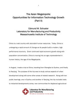 The Asian Megalopolis: Opportunities for Information Technology