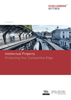 Intellectual Property Protecting Your Competitive Edge