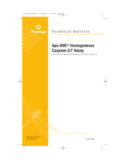 Apo-ONE(R) Homogeneous Caspase-3/7 Assay