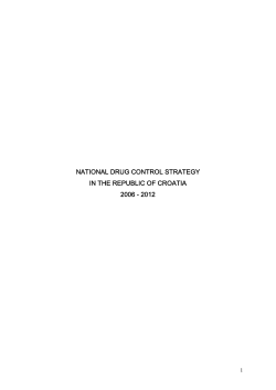 national drug control strategy in the republic of