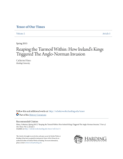 Reaping the Turmoil Within: How Ireland`s Kings Triggered The