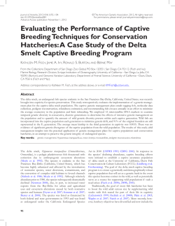 A Case Study of the Delta Smelt Captive
