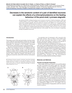 Decreases in the serotonin content of a pair of