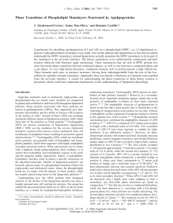 Phase Transitions of Phospholipid Monolayers Penetrated by